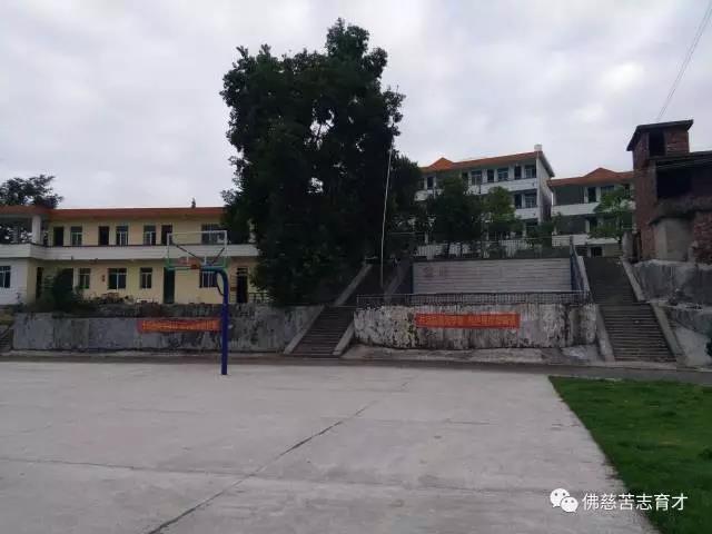 3.jpg 3.jpg