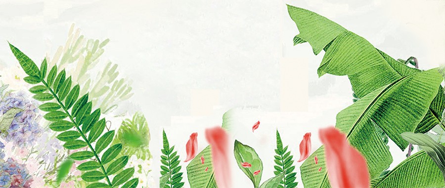 bg2.jpg bg2.jpg